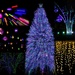 Holiday Lights Collage by jyokota