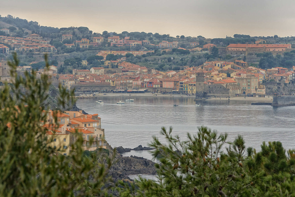 Collioure on New Year's Day by laroque