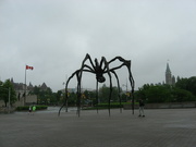 4th Jan 2022 - Art #4: Giant Spider