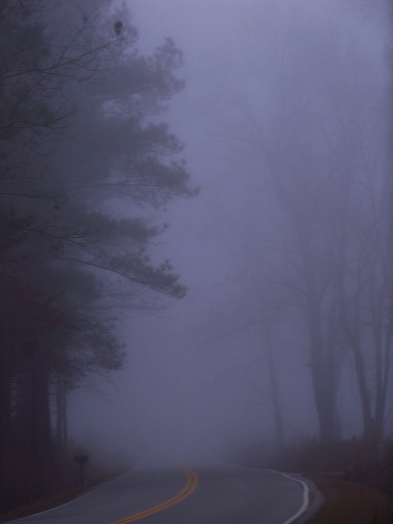 One fine foggy morning 4... by marlboromaam