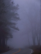 5th Jan 2022 - One fine foggy morning 4...