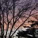 Sunset 1 4 2022 by larrysphotos