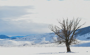 3rd Jan 2022 - Rural Winter Landscape