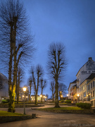 5th Jan 2022 - Linden trees, street lamps and a zig-zag road