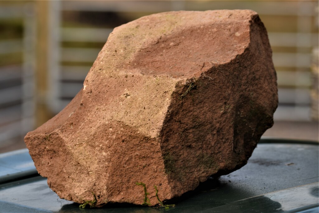 the rock keeping the bin lid closed by christophercox