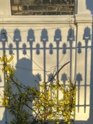 5th Jan 2022 - More shadow play on a crisp blue London day