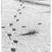 footprints by aecasey