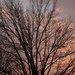 Sunset 1 2022 a by larrysphotos
