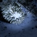 Snowy Branch at Dusk by tapucc10
