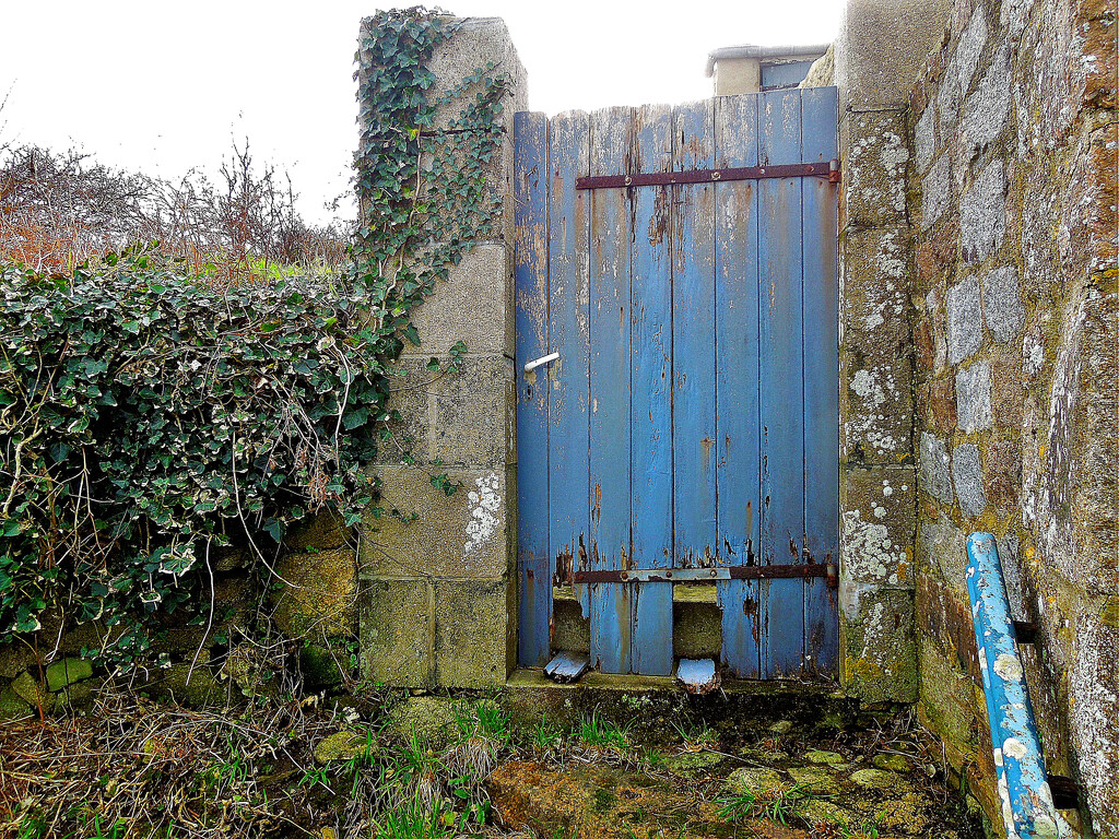 The blue door by etienne