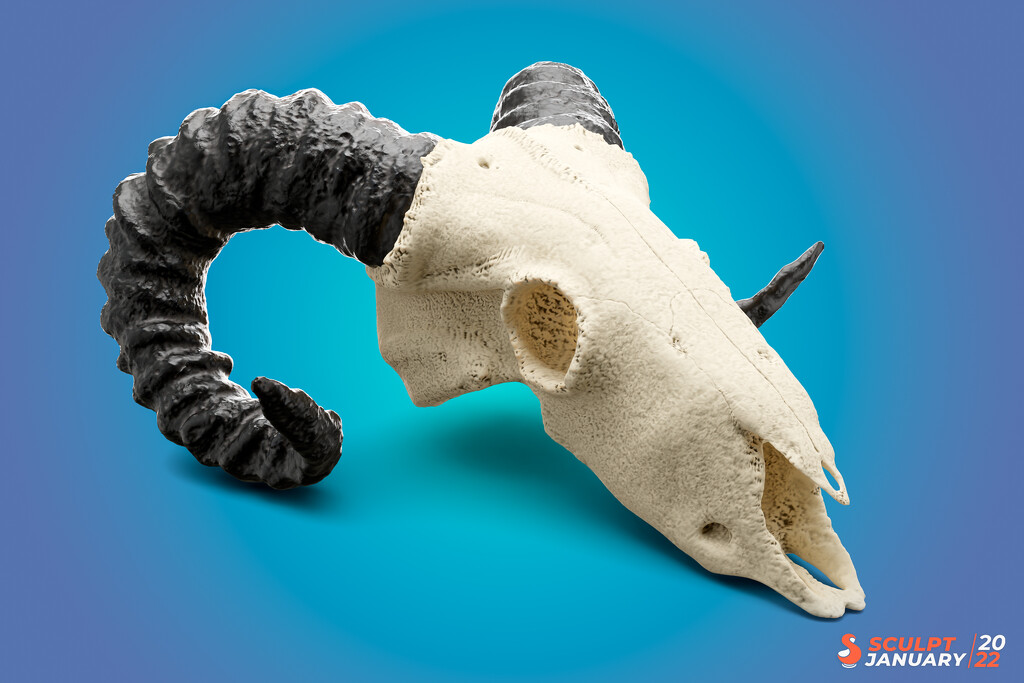 SculptJanuary - Ram Skull by humphreyhippo