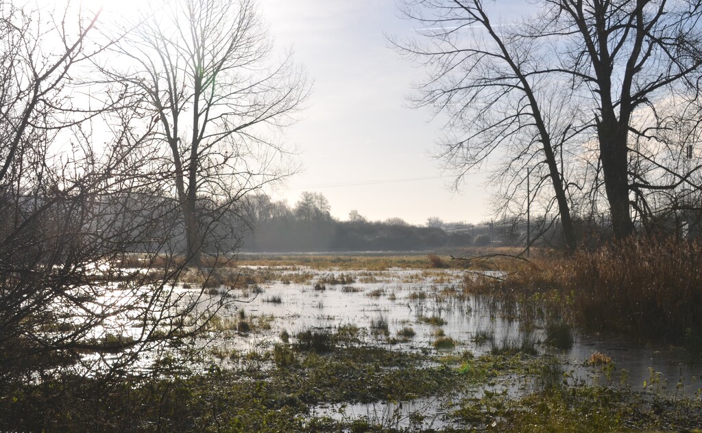 The Flooded Marsh by arkensiel