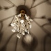 Spider Light by corinnec