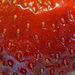 Strawberry seeds by larrysphotos