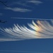 Angel Wing or Feather