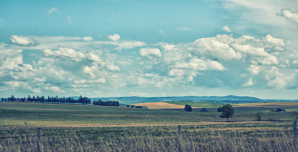 on the way to Bathurst 3 by annied