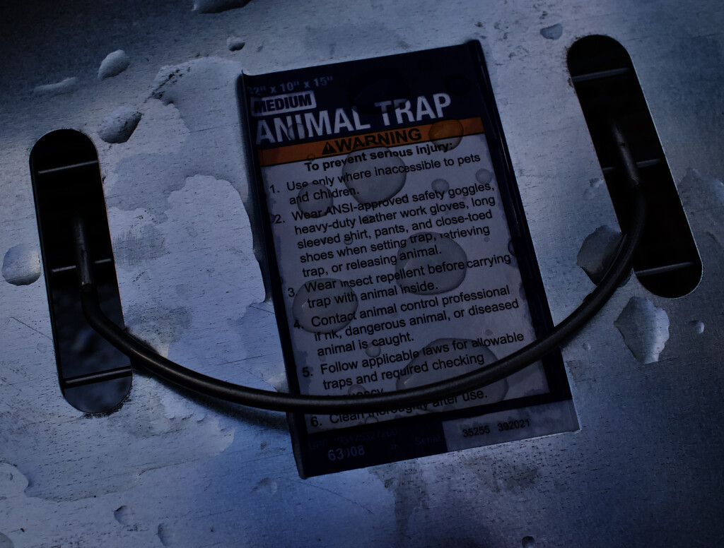 Animal trap by eudora