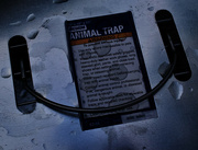 6th Jan 2022 - Animal trap