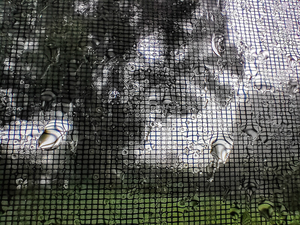Distortion - Rainy day closeup by jeneurell