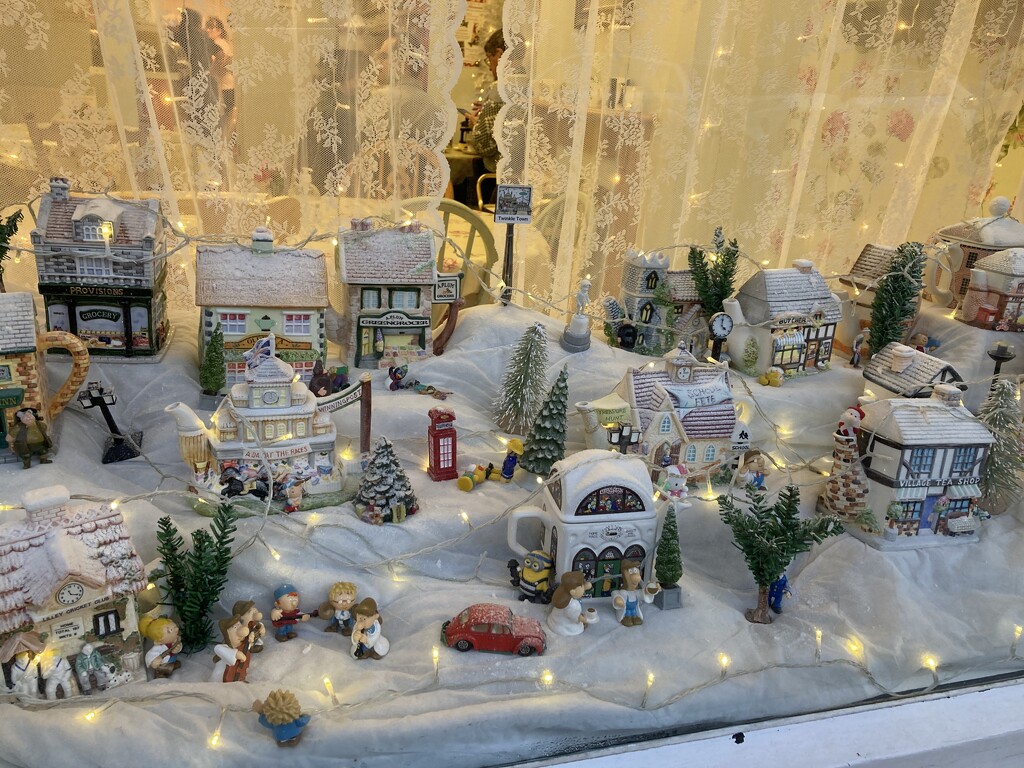 Festive Windows by elainepenney