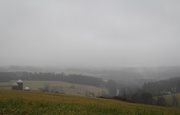 7th Jan 2022 - Foggy day at the farm