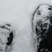 SnowBoots by corinnec