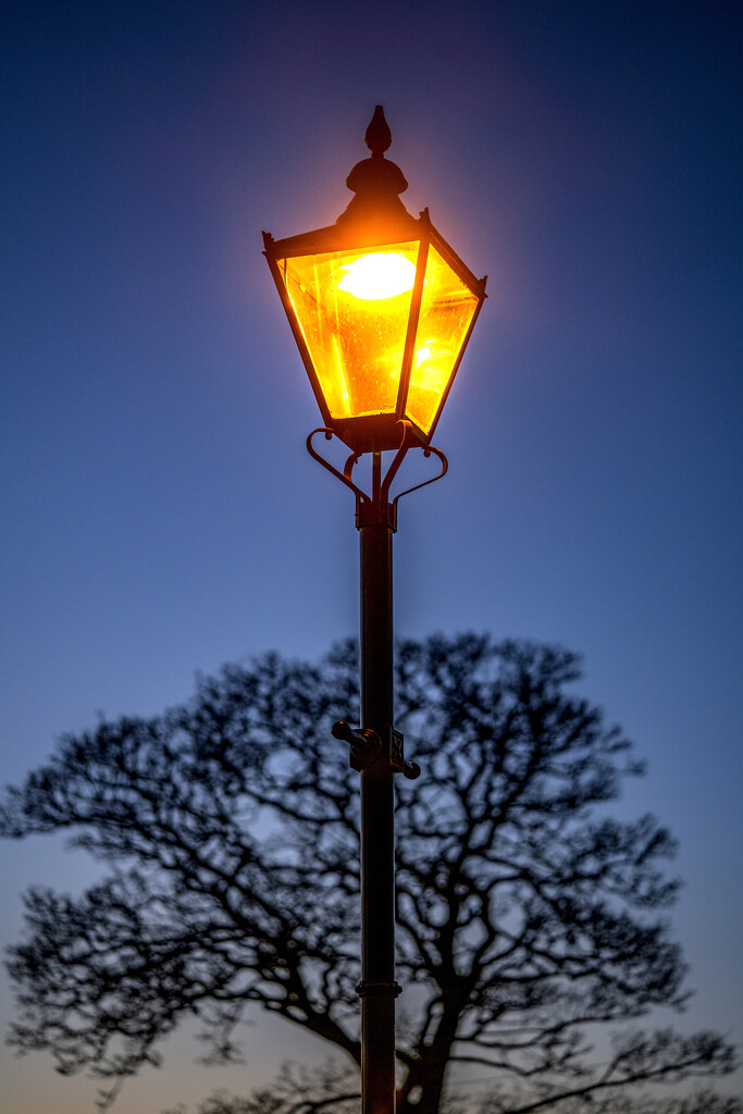 Street lamp. by gamelee