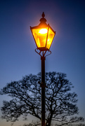 7th Jan 2022 - Street lamp.