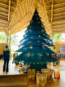 4th Jan 2022 - African Christmas tree. 