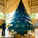 African Christmas tree.  by cocobella
