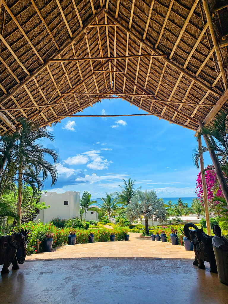 Lobby view.  by cocobella