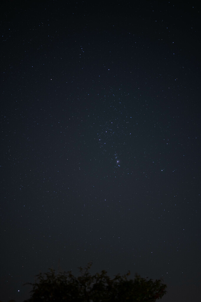 Orion over the back garden by rjb71