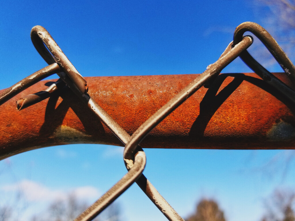 Rust and blue by ljmanning