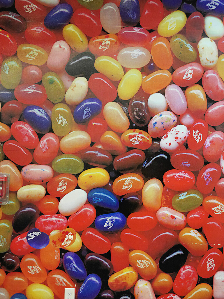 Jelly Belly's from the Factory by gq