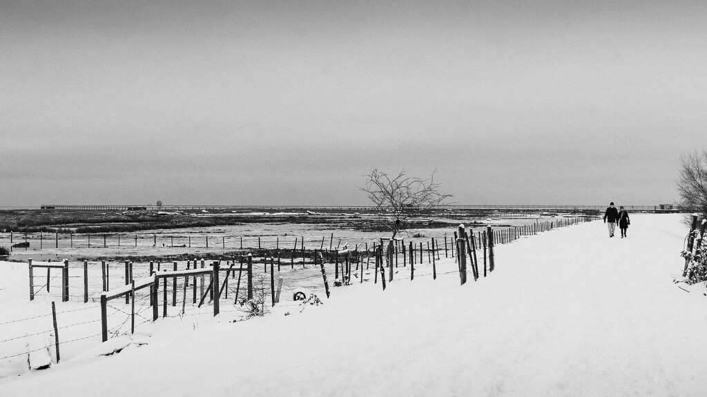 A winter walk by cdcook48