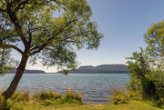 4th Jan 2022 - On the bank at Lake Tarawera