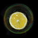 Lemon in a bubble. by njmauthor