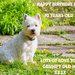 Happy birthday Finlay  by pamknowler