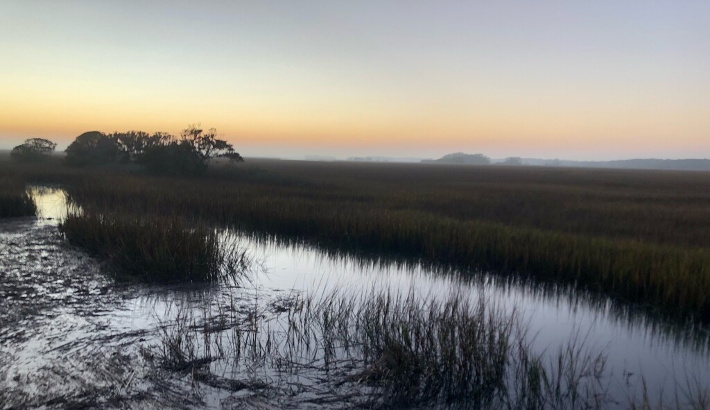 Ending of a fog-shrouded sunset by congaree