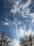 8th Jan 2022 - Buoyant high clouds show what a joy it is to be alive to witness such grand displays by Nature.