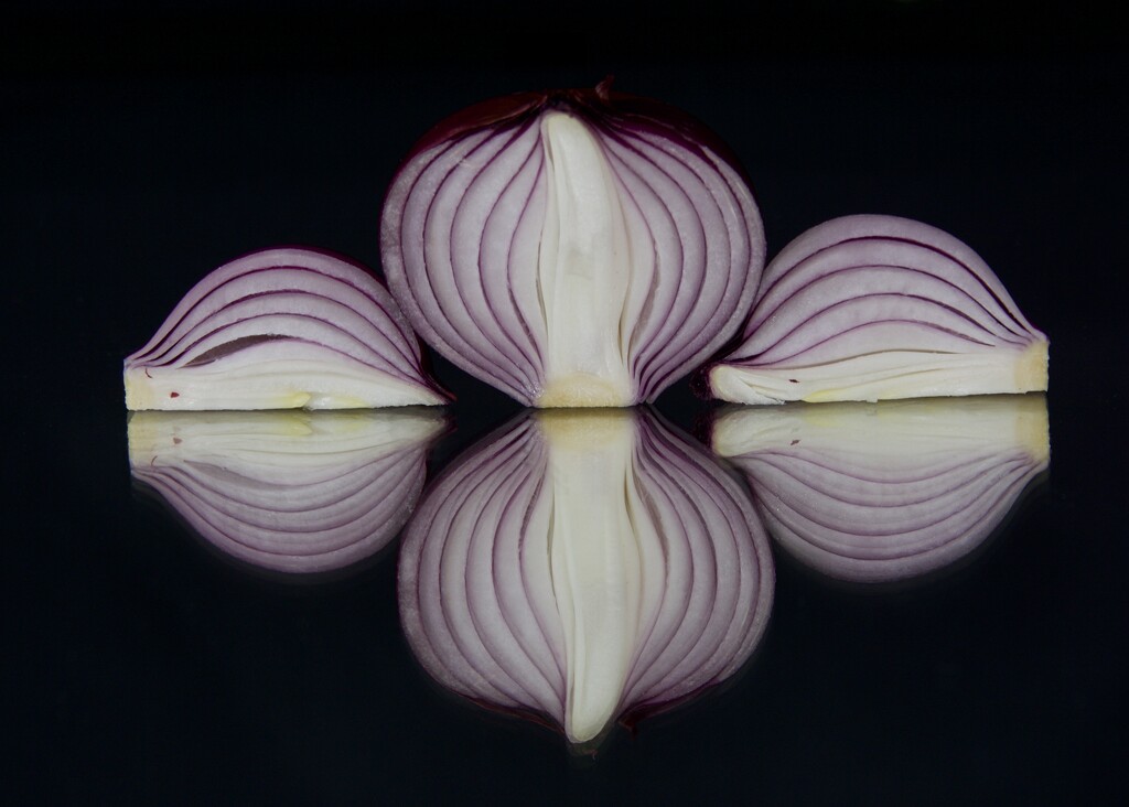 A Bit Of Red Onion Symmetry DSC_0006 by merrelyn