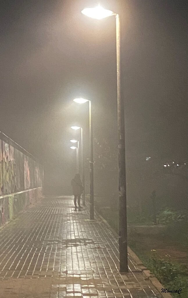 A walk in the fog by monicac