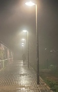 8th Jan 2022 - A walk in the fog