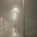 A walk in the fog by monicac