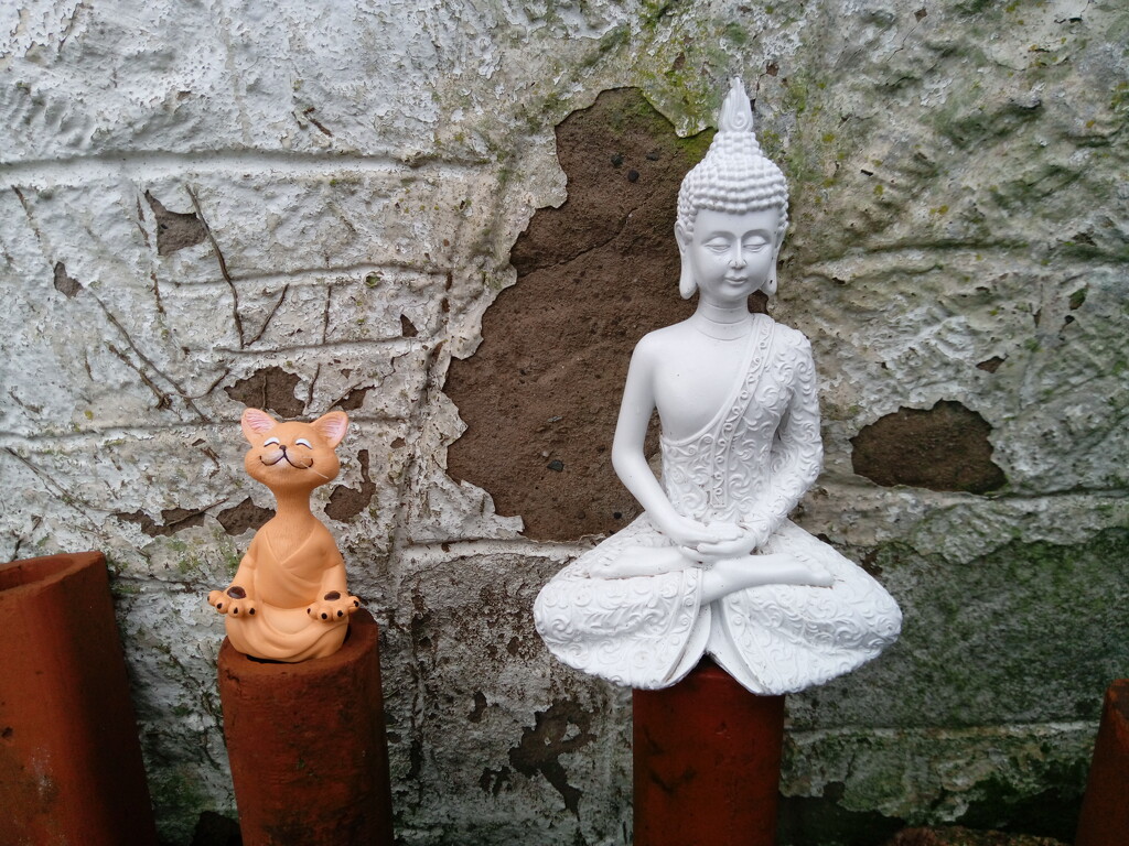Garden Buddhas by samcat