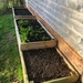 My Vegetable  Garden in January  by susiemc
