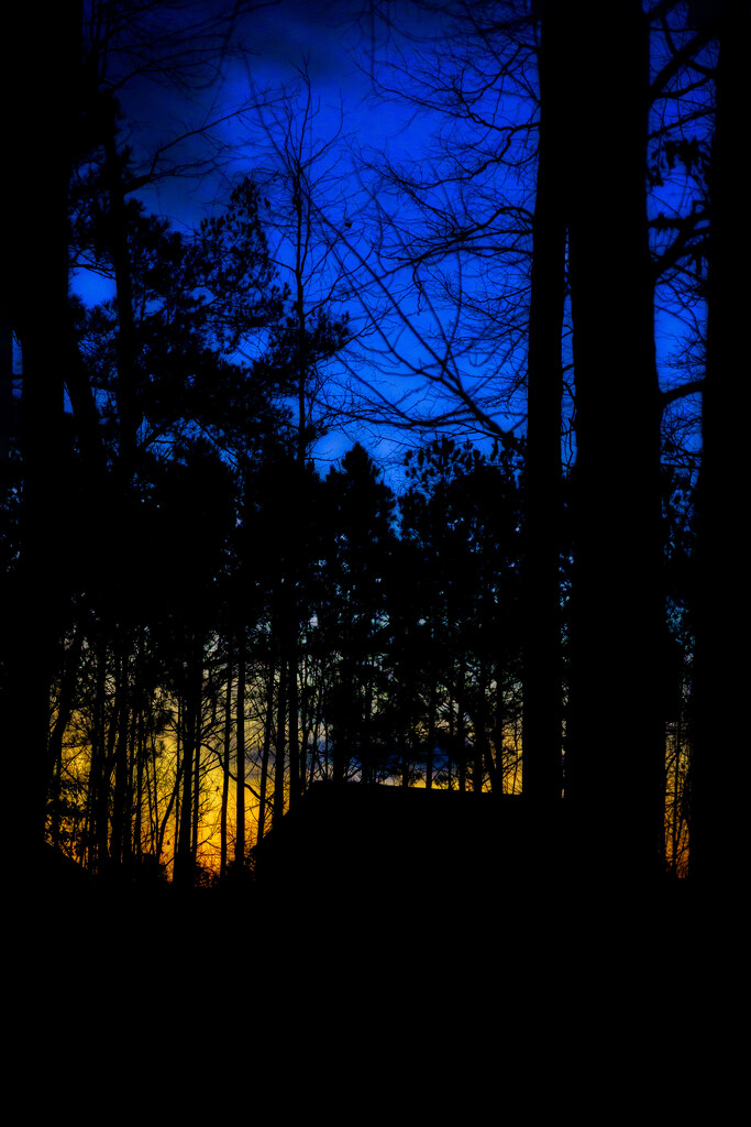 Sunrise by k9photo