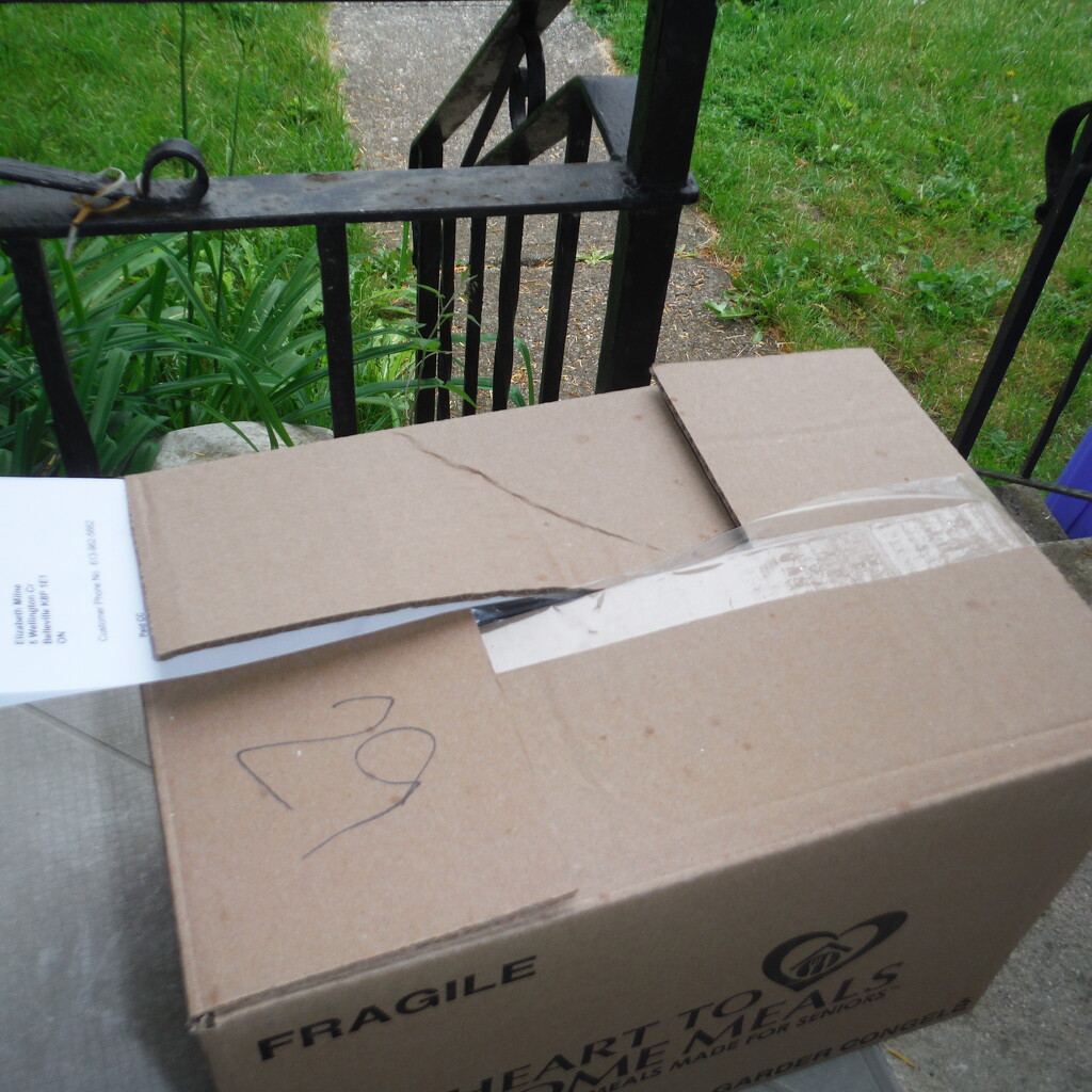 Box #1: Food Delivery by spanishliz