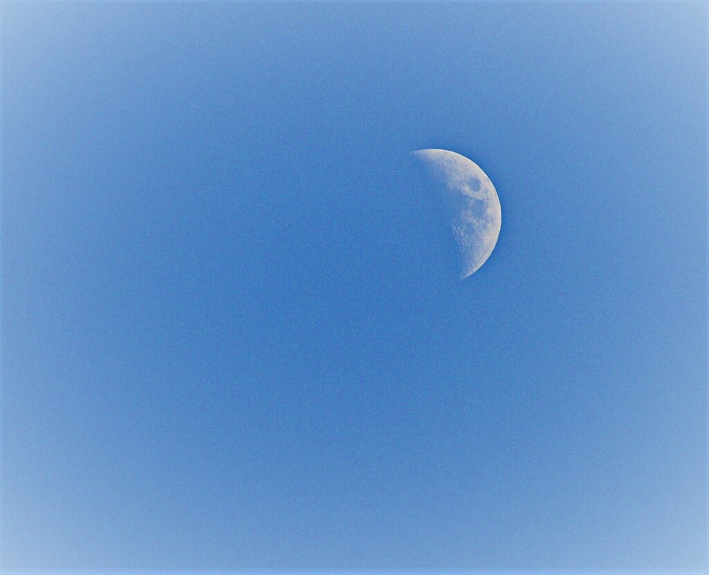 Afternoon Moon by peggysirk