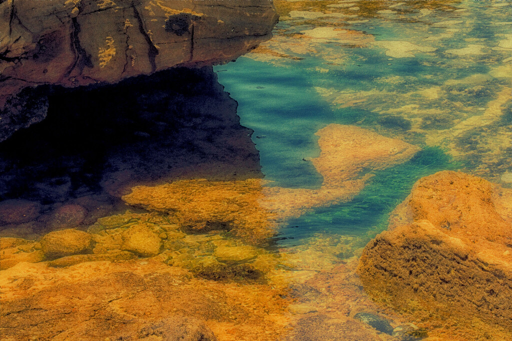  rock pool by annied